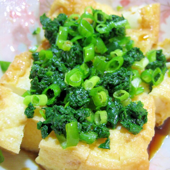 レンジで厚揚げ~ほうれん草と刻みネギ乗せ~
